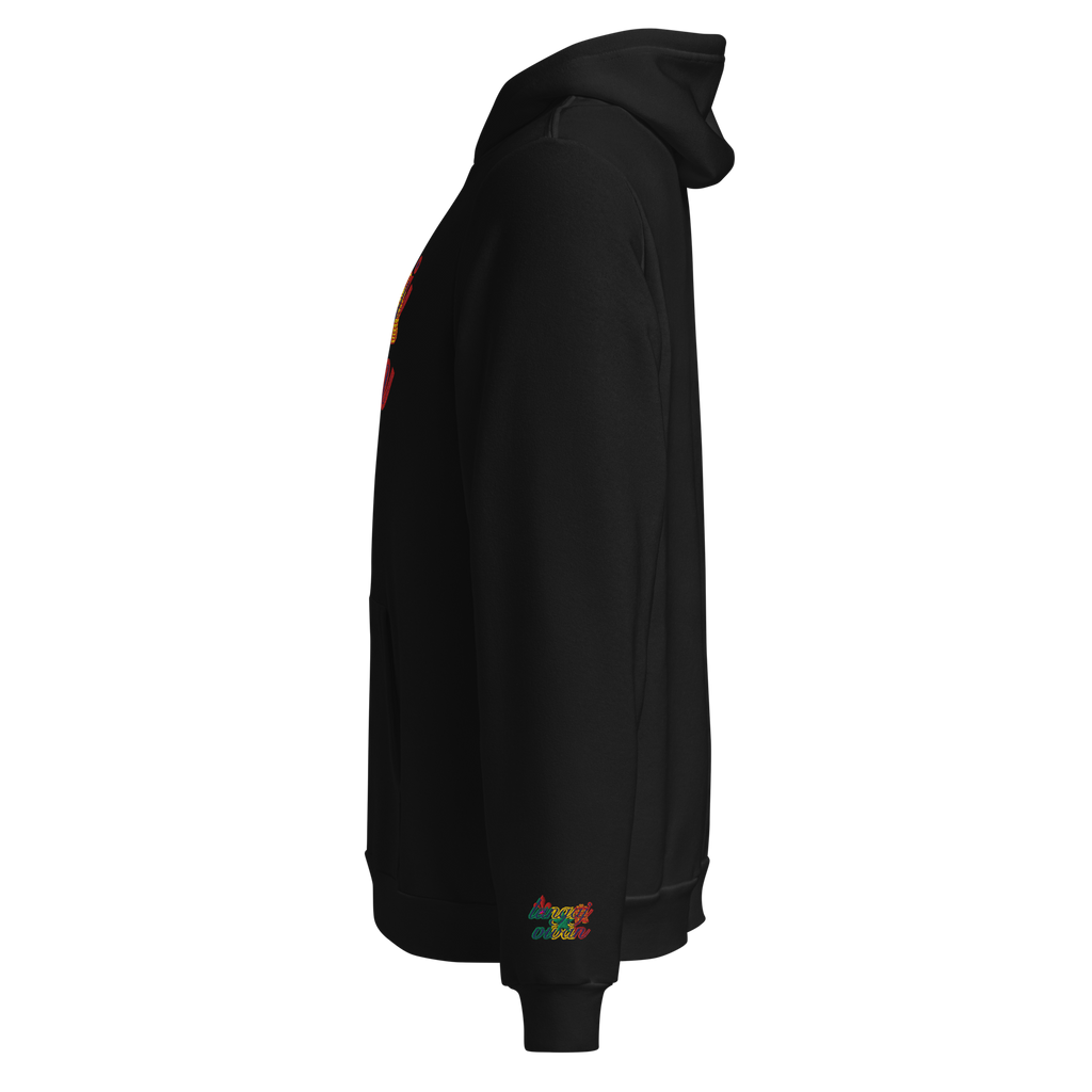 Langaj Vivan | embroidered full-length hoodie