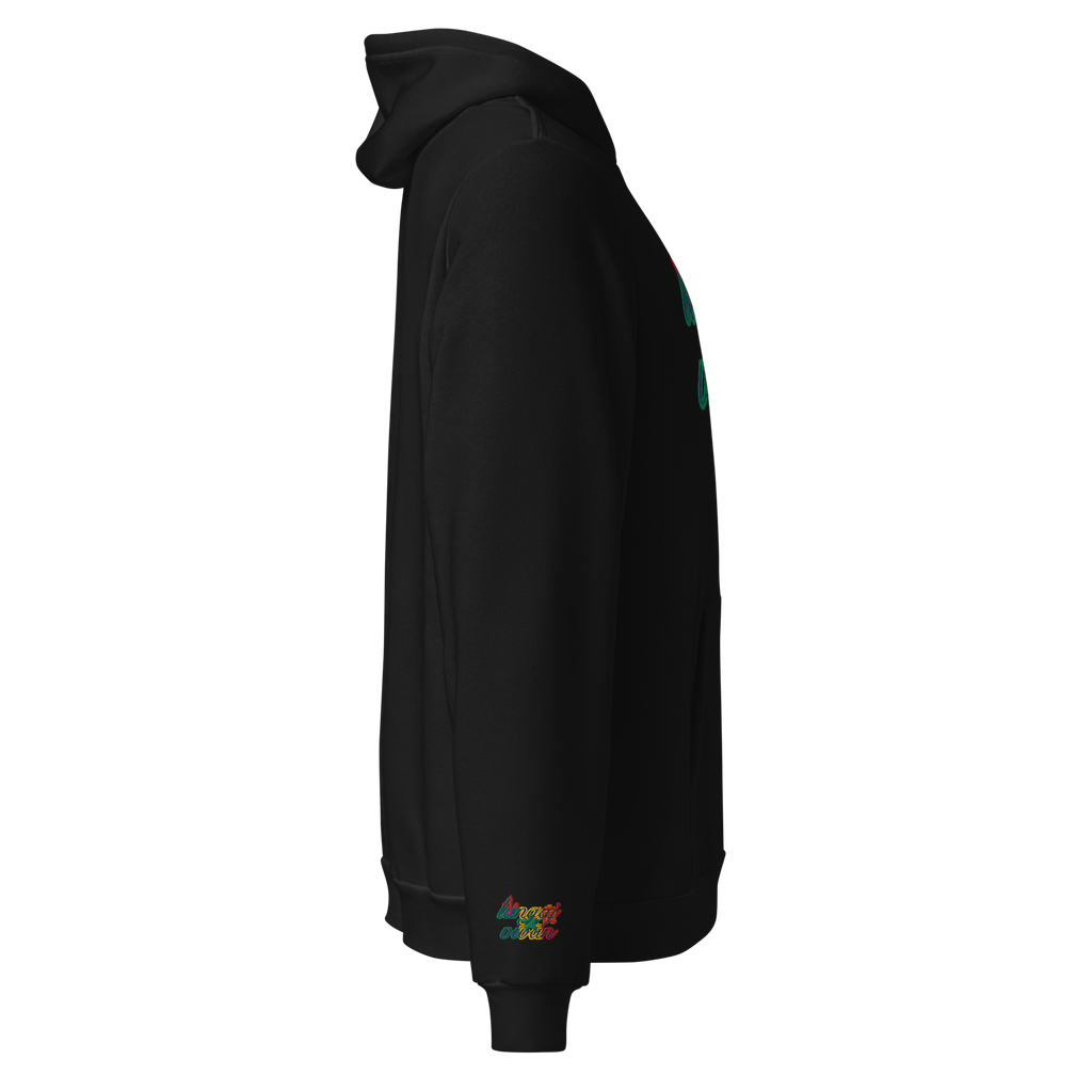 Langaj Vivan | embroidered full-length hoodie